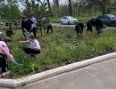 Субботник в честь Дня Победы